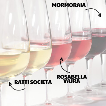 VENTE de bouteilles de vin
