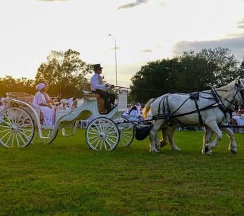 The Horse & Carriage Experience Returns to Diner en Blanc Orlando