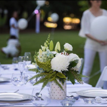 What to bring - A Beginners Guide To Dîner en Blanc