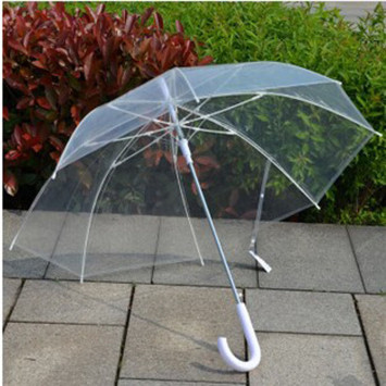 Umbrellas available! 